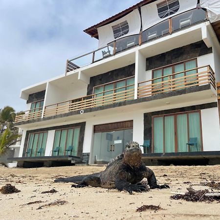 プエルト・ビジャミル Cormorant Beach House Bed & Breakfast エクステリア 写真