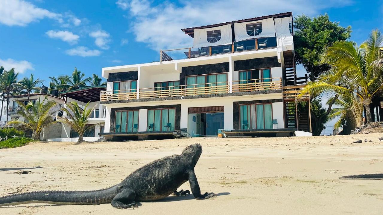 プエルト・ビジャミル Cormorant Beach House Bed & Breakfast エクステリア 写真